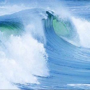 Meet your Posher, Exclusive